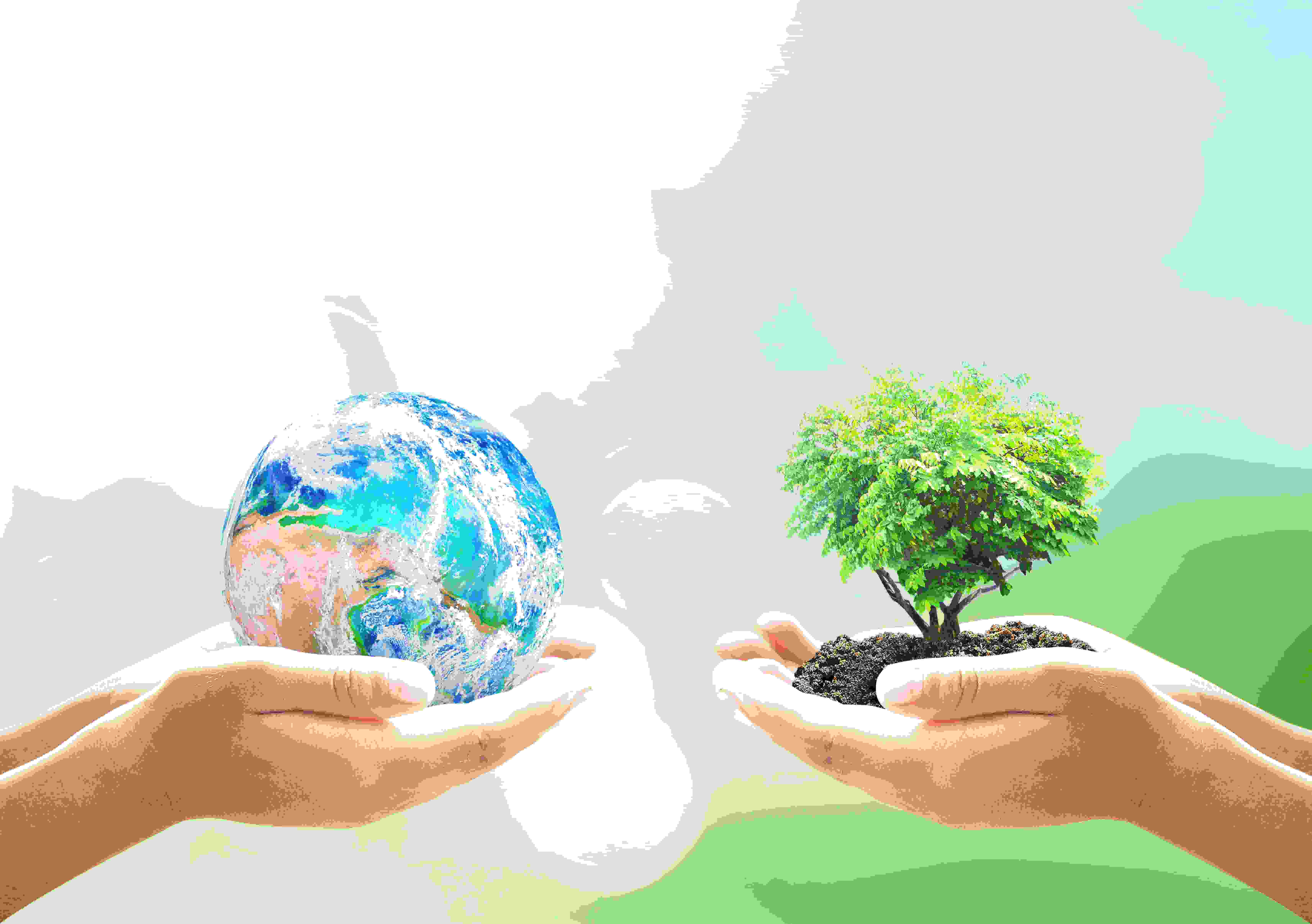 Dia Mundial do Meio Ambiente